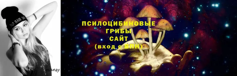 Галлюциногенные грибы Magic Shrooms  KRAKEN   Уссурийск 